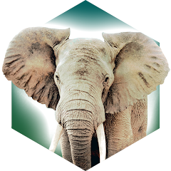 方舟动物园steam版(Ark Nova) v1.0.0