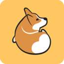 Corgi-同城面基就来可基