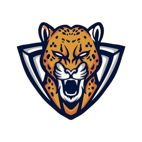 野豹启动器 9999